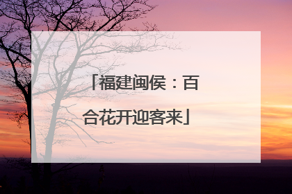 福建闽侯：百合花开迎客来