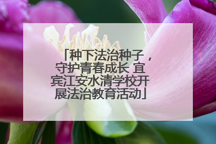种下法治种子，守护青春成长 宜宾江安水清学校开展法治教育活动