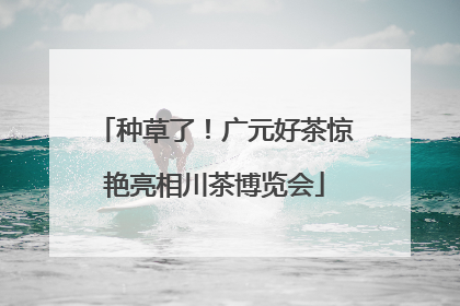 种草了！广元好茶惊艳亮相川茶博览会