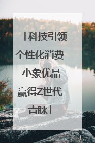 科技引领个性化消费 小象优品赢得Z世代青睐