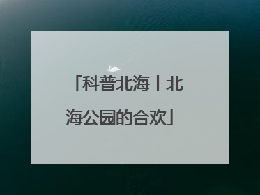 科普北海丨北海公园的合欢