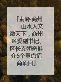 秦岭·商州——山水人文邀天下，商州区委副书记、区长支朝奇推介5个重点招商项目