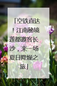 空铁直达！江南秘境莲都邀客长沙，来一场夏日降燥之旅