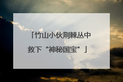 竹山小伙荆棘丛中救下“神秘国宝”