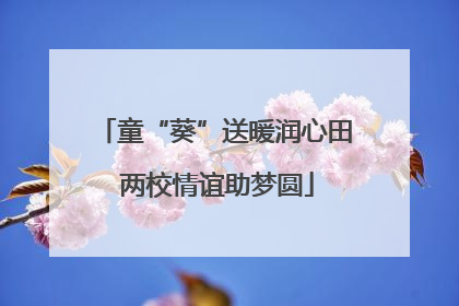 童“葵”送暖润心田 两校情谊助梦圆