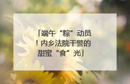端午“粽”动员！内乡法院干警的甜蜜“食”光