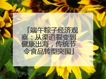 端午粽子经济观察：从渠道裂变到健康出海，传统节令食品转型突围