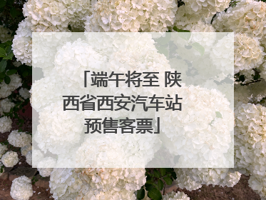 端午将至 陕西省西安汽车站预售客票