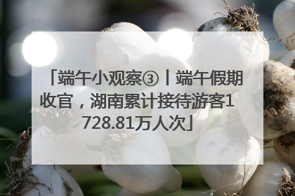 端午小观察③丨端午假期收官，湖南累计接待游客1728.81万人次