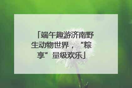端午趣游济南野生动物世界，“粽享”量级欢乐