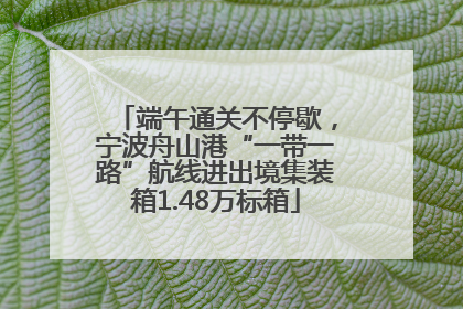 端午通关不停歇，宁波舟山港“一带一路”航线进出境集装箱1.48万标箱