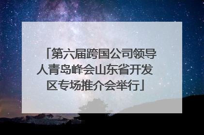 第六届跨国公司领导人青岛峰会山东省开发区专场推介会举行