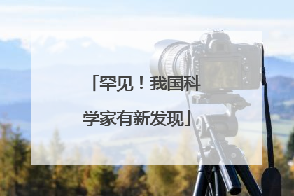 罕见！我国科学家有新发现