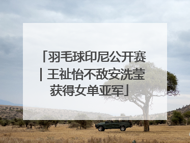 羽毛球印尼公开赛｜王祉怡不敌安洗莹 获得女单亚军