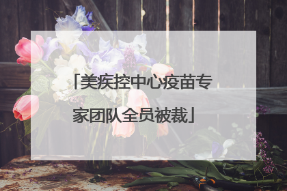 美疾控中心疫苗专家团队全员被裁