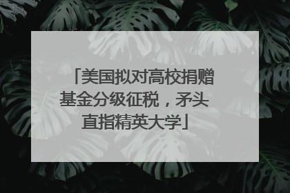 美国拟对高校捐赠基金分级征税，矛头直指精英大学