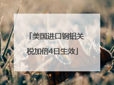 美国进口钢铝关税加倍4日生效