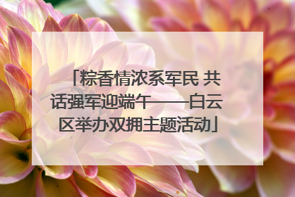 粽香情浓系军民 共话强军迎端午——白云区举办双拥主题活动