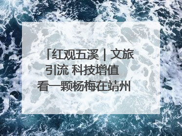 红观五溪｜文旅引流 科技增值 看一颗杨梅在靖州的“商业觉醒”