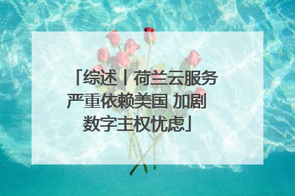 综述丨荷兰云服务严重依赖美国 加剧数字主权忧虑