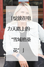 绽放在电力天路上的“雪域格桑花”
