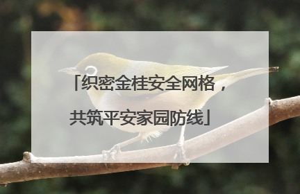 织密金桂安全网格，共筑平安家园防线