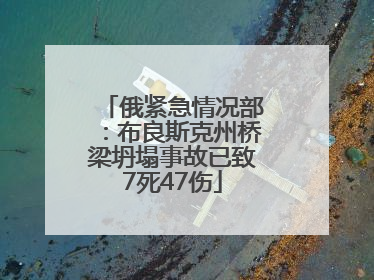 俄紧急情况部：布良斯克州桥梁坍塌事故已致7死47伤