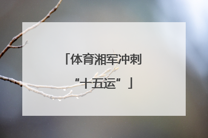 体育湘军冲刺“十五运”