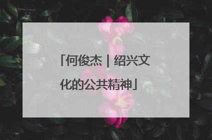 何俊杰｜绍兴文化的公共精神
