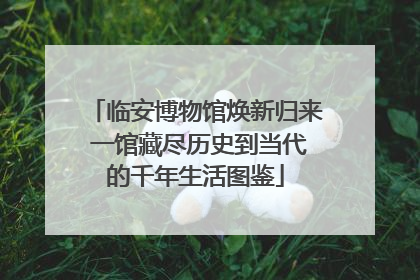 临安博物馆焕新归来 一馆藏尽历史到当代的千年生活图鉴