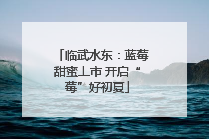 临武水东：蓝莓甜蜜上市 开启“莓”好初夏