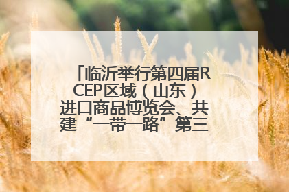 临沂举行第四届RCEP区域（山东）进口商品博览会、共建“一带一路”第三届临沂商城国际采购商大会新闻发布会
