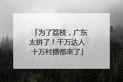 为了荔枝，广东太拼了！千万达人十万村播都来了