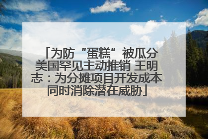 为防“蛋糕”被瓜分 美国罕见主动推销 王明志：为分摊项目开发成本同时消除潜在威胁