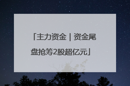 主力资金｜资金尾盘抢筹2股超亿元