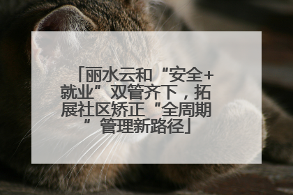 丽水云和“安全+就业”双管齐下，拓展社区矫正“全周期”管理新路径