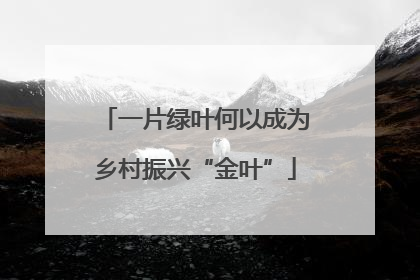一片绿叶何以成为乡村振兴“金叶”