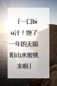 一口biu汁！馋了一年的无锡阳山水蜜桃来啦