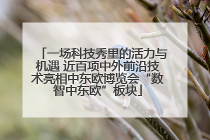一场科技秀里的活力与机遇 近百项中外前沿技术亮相中东欧博览会“数智中东欧”板块