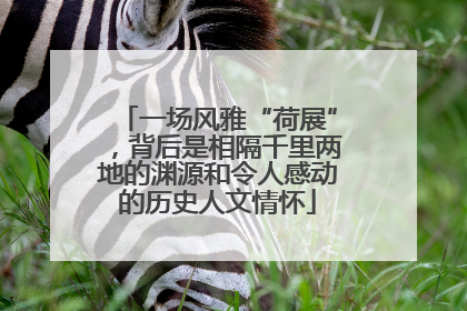 一场风雅“荷展”，背后是相隔千里两地的渊源和令人感动的历史人文情怀