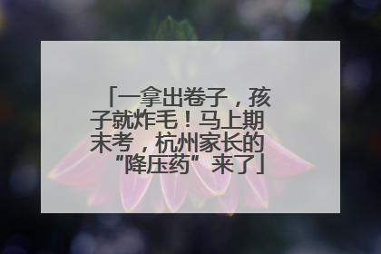 一拿出卷子，孩子就炸毛！马上期末考，杭州家长的“降压药”来了