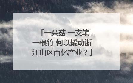 一朵菇 一支笔 一根竹 何以撬动浙江山区百亿产业？