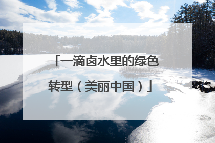 一滴卤水里的绿色转型（美丽中国）