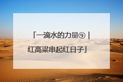 一滴水的力量⑨｜红高粱串起红日子