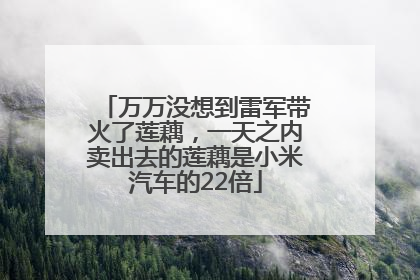 万万没想到雷军带火了莲藕，一天之内卖出去的莲藕是小米汽车的22倍