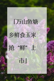 万山鱼塘乡鲜食玉米抢“鲜”上市