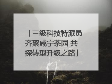 三级科技特派员齐聚咸宁茶园 共探转型升级之路