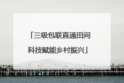 三级包联直通田间 科技赋能乡村振兴