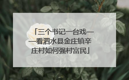 三个书记一台戏——看泗水县金庄镇辛庄村如何强村富民