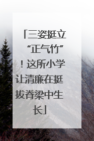 三姿挺立“正气竹”！这所小学让清廉在挺拔脊梁中生长